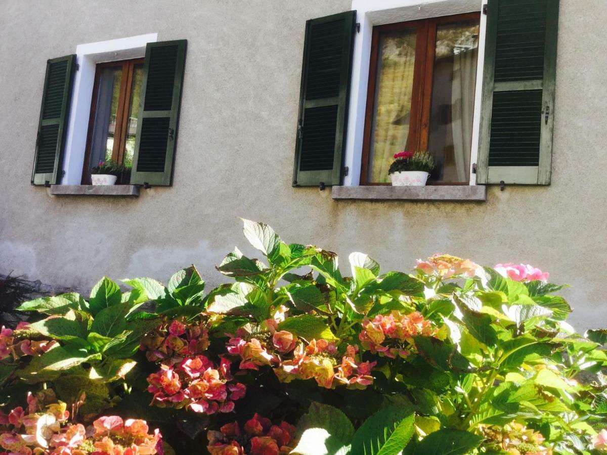 Villa di Chiavenna Charlotte Casa Vacanze מראה חיצוני תמונה